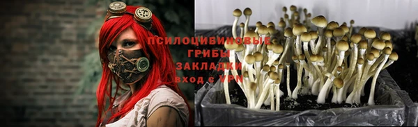 кокаин VHQ Алексеевка