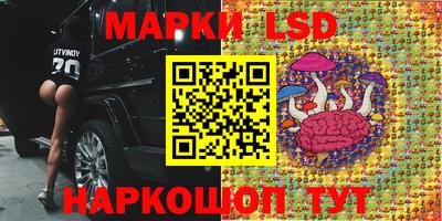 шишки Рязань