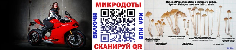 hydra маркетплейс  хочу наркоту  Арсеньев  Галлюциногенные грибы Magic Shrooms 